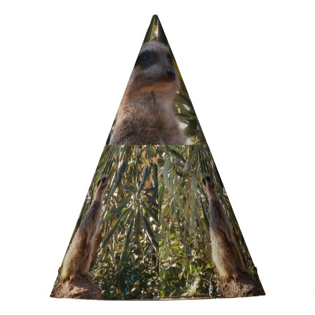 Chapeaux De Fètes Meerkat En Garde, Casquette Du Parti (Devant)
