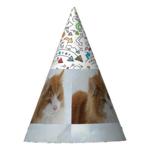 Chapeaux De Fètes Norwegian_Forest_Cat