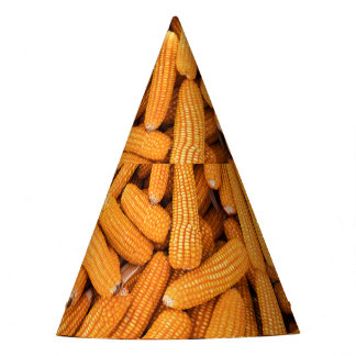 Chapeaux De Fètes Orange Corn Cob : Harvest Agriculture Arrière - pl