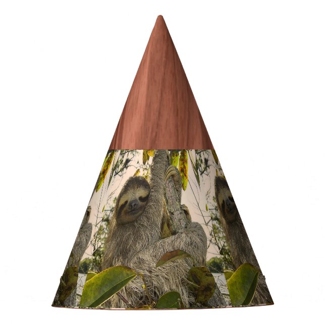 Chapeaux De Fètes Paresse (Devant)