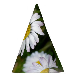 Chapeaux De Fètes Petites marguerites