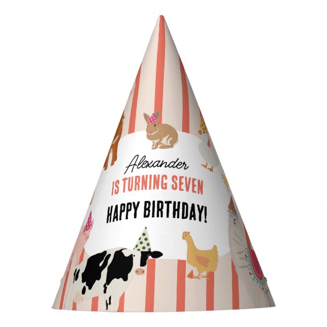 Chapeaux De Fètes Petting Zoo Party Animals Barnyard Birthday Theme (Devant)
