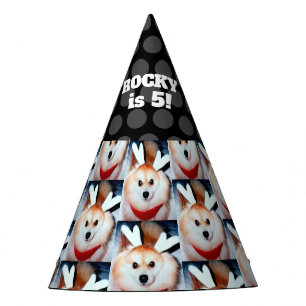Chapeaux De Fètes Photo faite sur commande d'animal familier de fêt