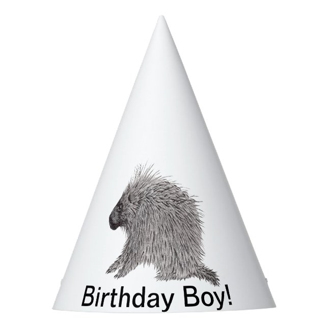 Chapeaux De Fètes Porcupine (Devant)