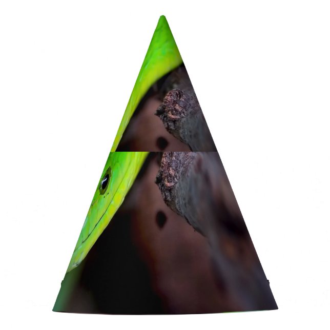 Chapeaux De Fètes Python de serpent vert (Devant)