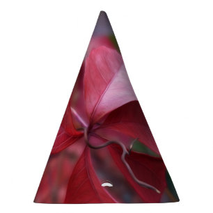 Chapeaux De Fètes Rouge d'automne