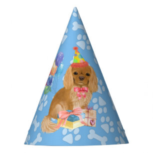 Chapeaux De Fètes Ruby Cavalier King Charles Spaniel Anniversaire 