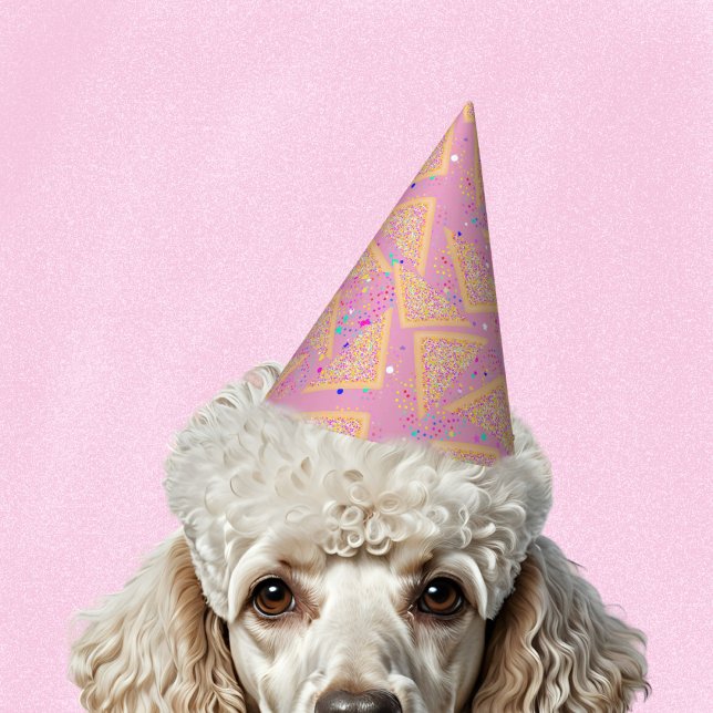 Chapeaux De Fètes Saupoudrer Aussie amusant, Anniversaire de enfant  (Créateur téléchargé)