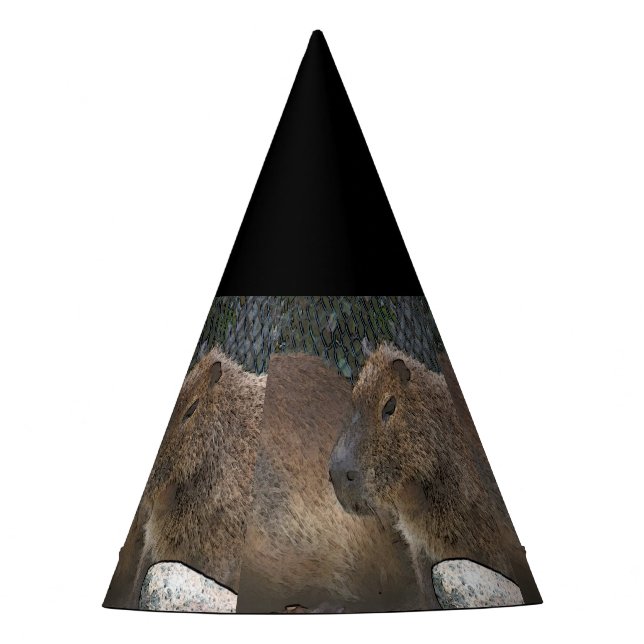 Chapeaux De Fètes toony capibarah (Devant)