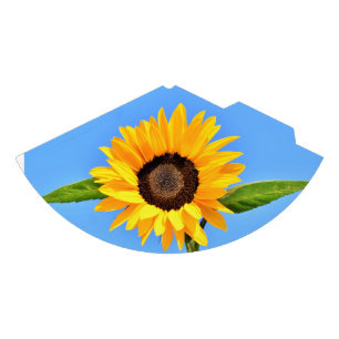 Chapeaux De Fètes Tournesol jaune contre soleil sur ciel bleu - été
