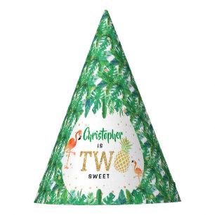 Chapeaux De Fètes Tropical Summer Beach Luau Boys 2e anniversaire