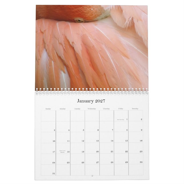 "Chaque jour est calendrier de vendredi de Flamant (Jan 2027)