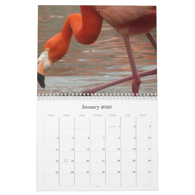 Chaque jour est Flamant rose vendredi - calendrier (Jan 2026)