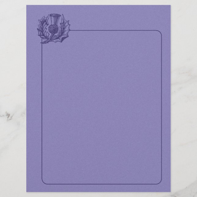 Chardon écossais (Devant)