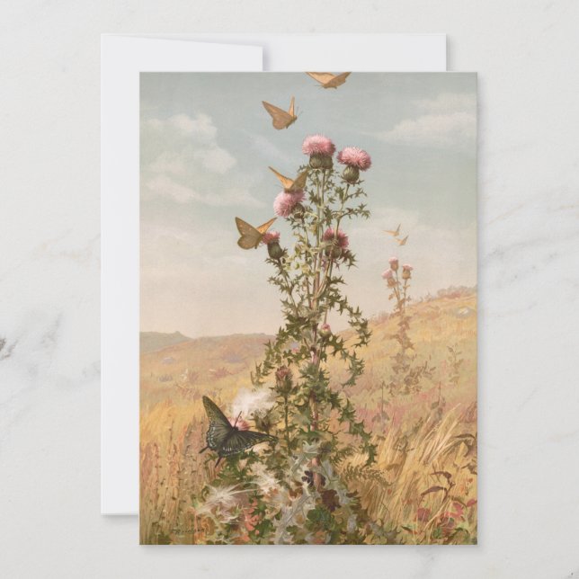 Chardon | Ponts Fidelia (Devant)