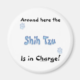Charge de Shih Tzu - aimant