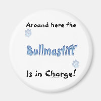 Chargement Bullmastiff - Magnet