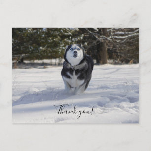 Chargement par carte postale Merci