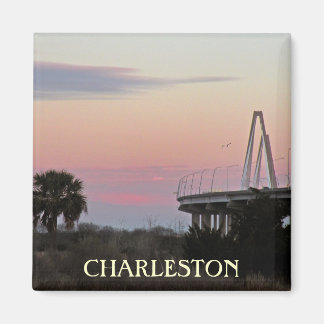Charleston Souvenir Magnet photo