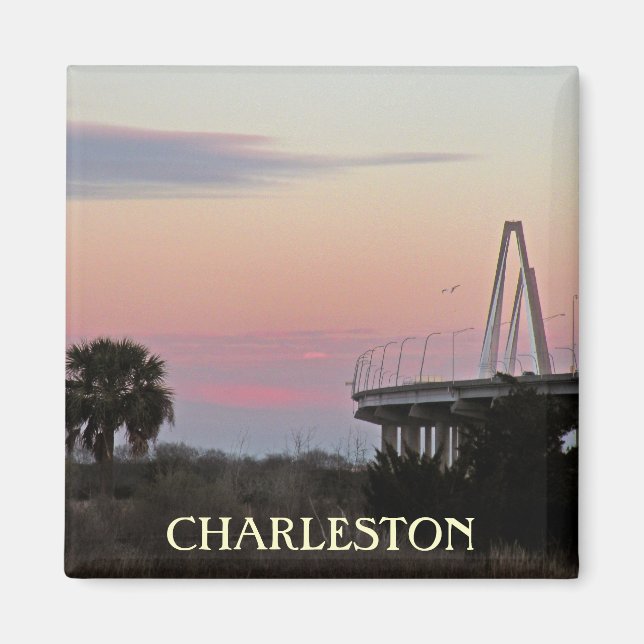 Charleston Souvenir Magnet photo (Devant)