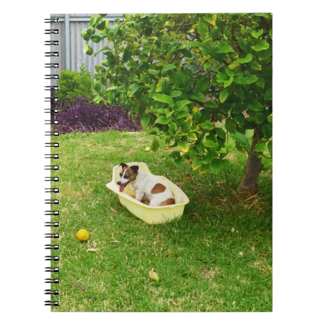 Charlie The Fox Terrier Bath Time, Carnet (Devant)