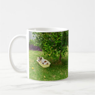 Charlie The Fox Terrier Heure de bain, Café Mug