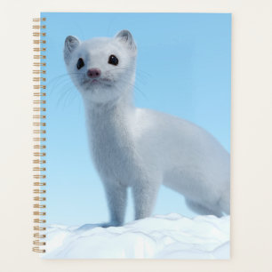 Charme de la belette arctique