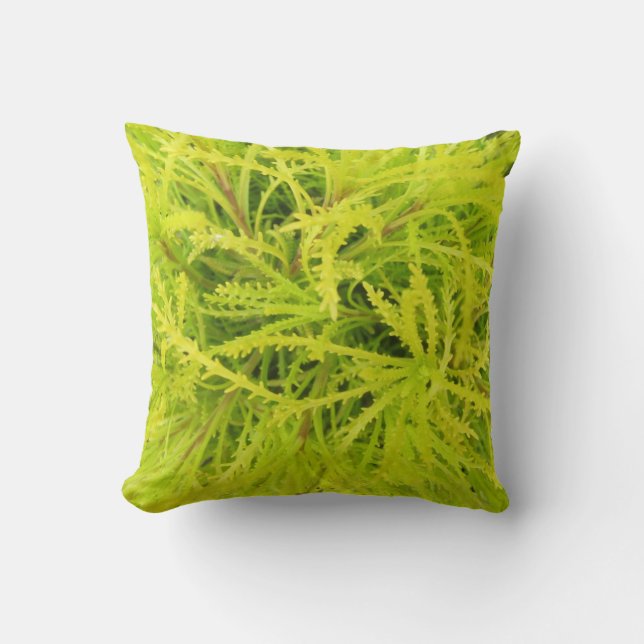CHARTREUSE ! Coussin (Recto)