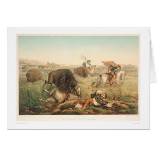 Chasse à bison (0008A)