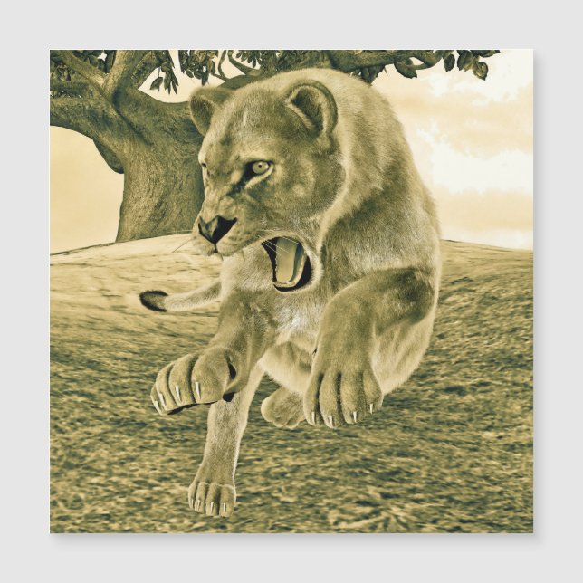 Chasse à la lionne (Devant)