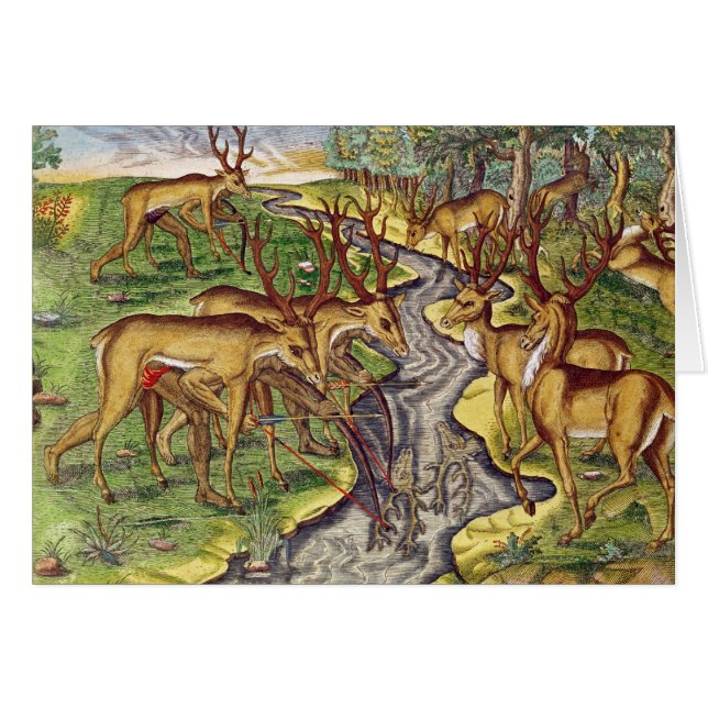 Chasse à mâle, 'de Narratio brevis (Devant horizontal)