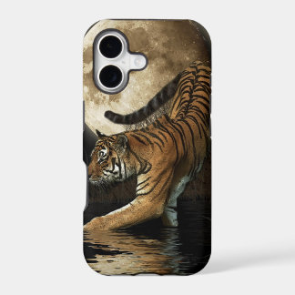 Chasse au tigre du Bengale & grande faune féline d