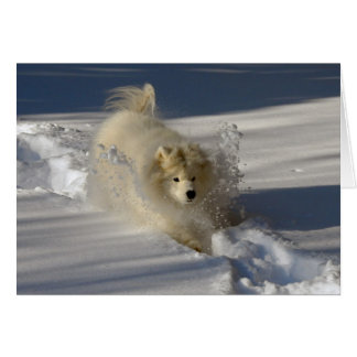 Chasse-neige - carte vierge