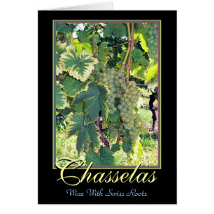 Chasselas - vin blanc avec les racines suisses -