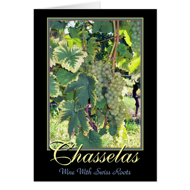 Chasselas - vin blanc avec les racines suisses - (Devant)