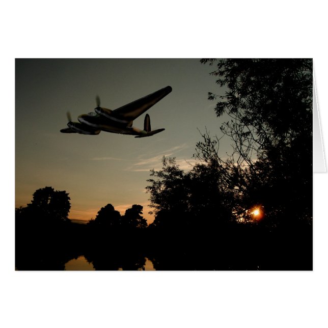 Chasseur nocturne de moustiques (Devant horizontal)