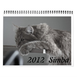 Chat 2012 de calendrier