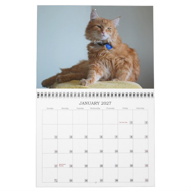 Chat 2012 de calendrier (Jan 2027)