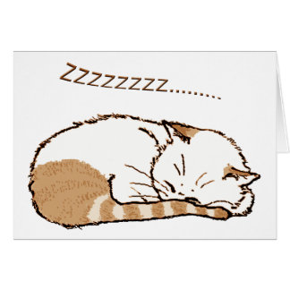 chat 2 de sommeil