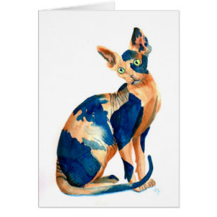 Chat 6 de Sphynx