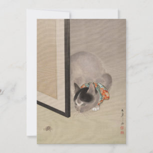 Chat à regarder une araignée   Oide Tōkō