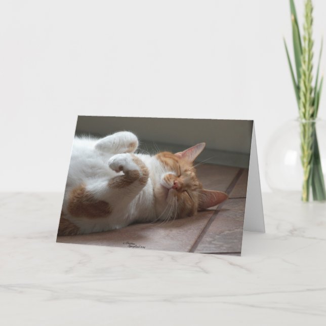 Chat adorable Penser de vous Carte (Devant)