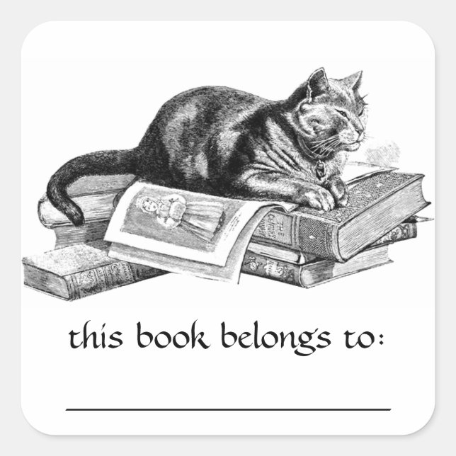 Chat Allongé Sur Les Livres Stickers Plaque (Devant)