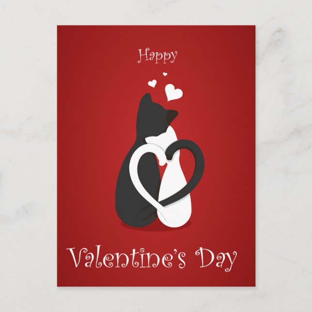 Chat amour valentines jour carte postale (Devant)