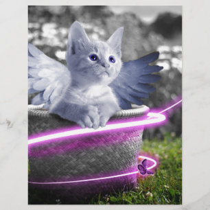 chat ange