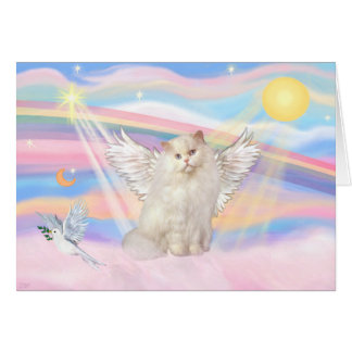Chat angélique persan blanc dans les nuages