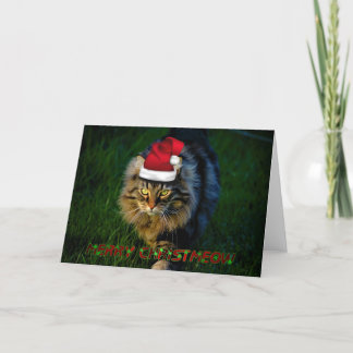 Chat animal de minou de Noël de Noël de carte de