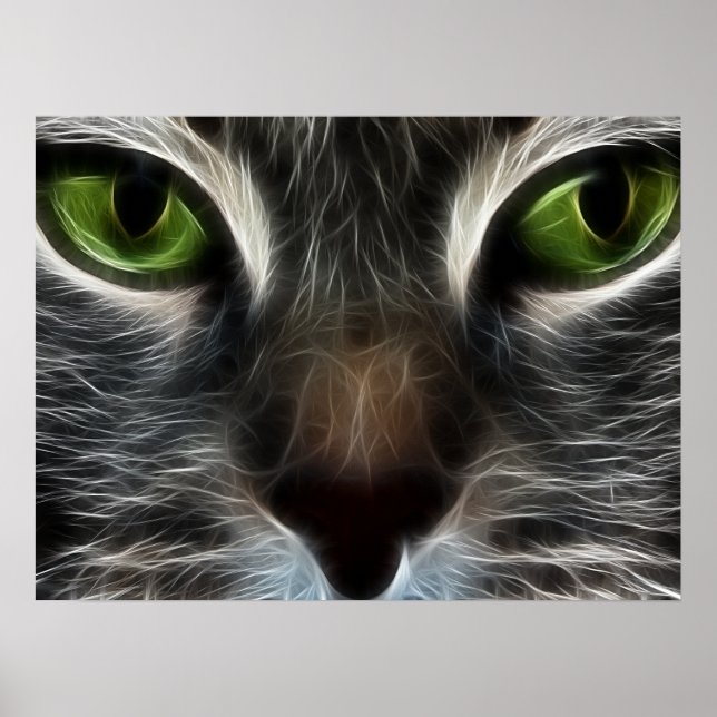 Chat Animal Photo Nature Wall Poster (Devant)