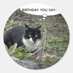 Chat Anniversaire Texte personnalisé Sticker class