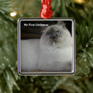 Chat Argent Mon Premier Noël Ornements Photo